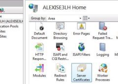 Creating and binding self-signed SSL Certificates in IIS